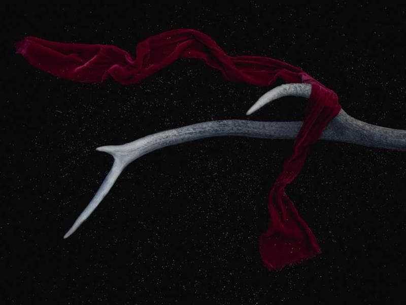 Mid ir East Antrim tarybos nariai svarstys Princo Andrew gatvės pavadinimo keitimą